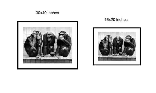 Hear, See, Speak... No Evil, 1958