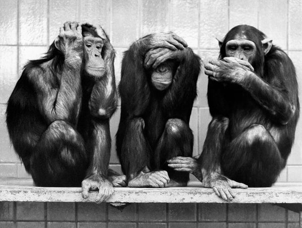 Hear, See, Speak... No Evil, 1958