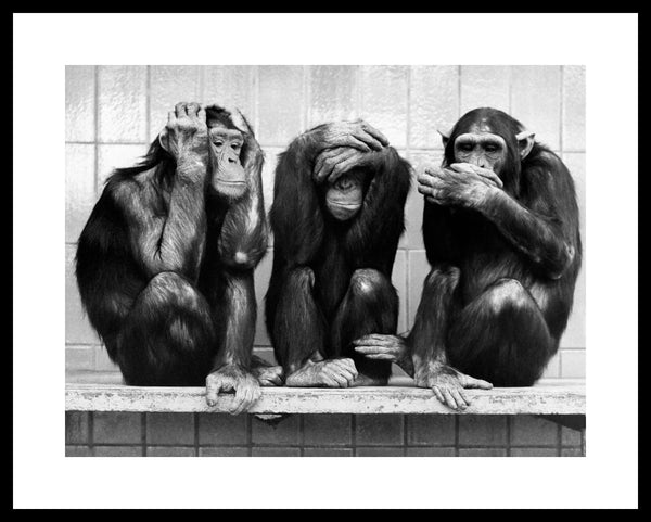 Hear, See, Speak... No Evil, 1958