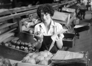 Packing Apples, 1921